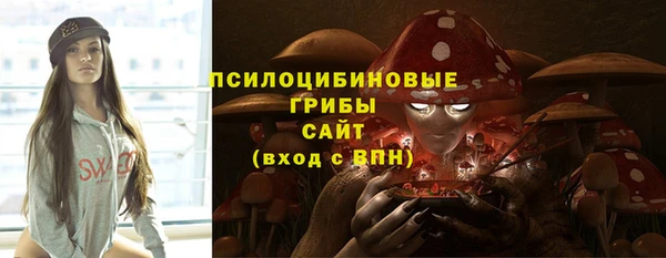 герыч Верхний Тагил