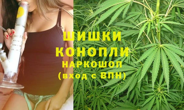 гидра Верея